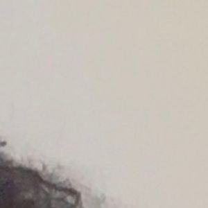 Meet your Posher, Yalinda